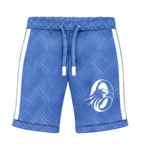 Shorts de sport bleu clair personnalisés pour l'entraînement athlétique, la gym, la course, avec cordon de serrage, séchage rapide, respirants, performance, vêtements de sport, uniforme d'équipe - Product Image 1