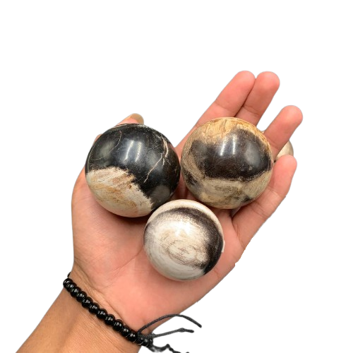 ดำและครีม