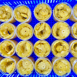 Natural Soft Dried Pineapple <b>Sweet</b> Chewy Fruit Snack Tropical Dried Pineapple Bulk Packaging Vietnam Factory Wholesale - Product Image 1