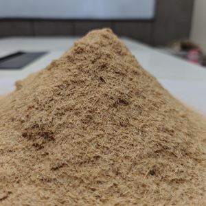 Harina de Madera de Pino de Primera Calidad, 40 Mallas, para Dhoop, Agarbatti y Bakhoor, Color Beige Dorado - Product Image 2