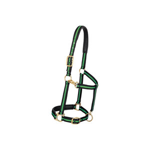 Estribos de Cuero y Nailon con Diseño Teal de Alta Calidad para Uso Ecuestre - Product Image 2
