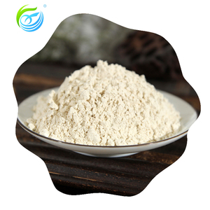 Fourniture de poudre d'arrowroot en vrac de haute qualité, poudre d'arrowroot de qualité alimentaire, Ure Natural - Product Image 6