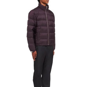 Chaqueta Acolchada de Lona de Alta Calidad con Cuello Alto, Transpirable y de Secado Rápido, Diseño Nuevo, Venta al Por Mayor, Chaquetas de Invierno para Hombre - Product Image 4