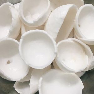 Coco Deshidratado a Precio de Fábrica, Color Blanco Natural para Exfoliante Cosmético, Jabón de Aceite Natural, Coco Seco con Grasa Reducida - Product Image 2