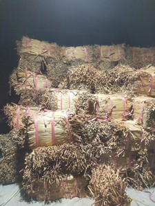 Fabricant vietnamien de fibres naturelles séchées d'hydrocotyle pour l'artisanat et le tissage, fournisseur en gros, exportateur - Product Image 3