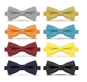 Nœuds Papillon Brodés Tendance pour Hommes – Soie Unie, Durables, Respirants, Pré-noués, Ajustables, Faits Main, Personnalisables pour Smoking et Mariage - Product Image 5