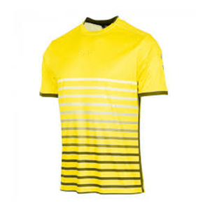เสื้อยืดคอกลมแขนสั้นลายทางสีเหลืองน้ำเงินสำหรับผู้ชาย ทรงปกติ สไตล์ลำลอง พิมพ์ลายแบบซับลิเมชั่น ผ้าโพลีเอสเตอร์ 100% แห้งเร็ว - Product Image 5