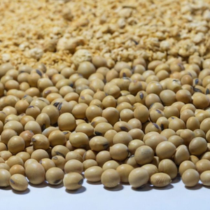 Harina de Soja con Alto Contenido Proteico para Alimentación Animal, Calidad Premium, Suministro a Granel, Lista para Exportación Global - Product Image 2