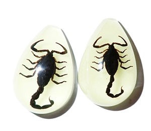 Black Scorpion Real Specimen Plastic Cabochon Pear Shape Cut <b>Top</b> 33x22 mm Glow Flat Bottom for Crafts and Jewelry Making - Product Image 6