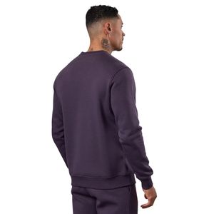 Sweat-shirt à col rond pour homme, violet, décontracté, en molleton, à manches longues, streetwear athlétique, haut de mode d'hiver - Product Image 2
