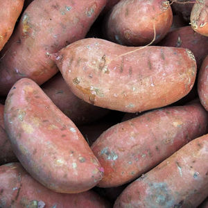 Patate douce / igname violette - Vente en gros de patates douces fraîches / surgelées / en amidon de haute qualité, certifiées Global Gap - Product Image 4