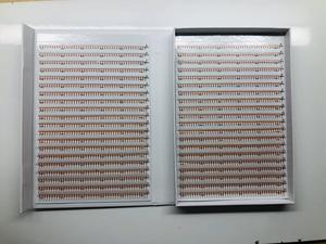 Boîte personnalisable XXL avec cils pré-faits en volume 2D-10D faits à la main, cils synthétiques coréens naturels longs, extensions de cils, ligne 40/20 - Product Image 3