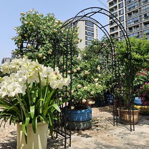 Arco da Giardino in Metallo Nero con Dimensioni L59 x L17.71 x H90.55, Supporto per Piante Rampicanti, Traliccio per Rose, Recinzione/Porta da Esterno - Product Image 2