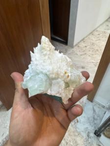 Scolecite de qualité export avec apophyllite verte et calcite |   Spécimen de cristal minéral naturel - Product Image 4