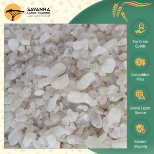 ตัวแทนจำหน่ายที่ดีที่สุดในโลกนำเสนอยางดามาร์สีเหลืองขาวคุณภาพสูงสุดสำหรับผู้ซื้อจำนวนมากในราคาประหยัด - Product Image 6