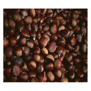 เมล็ดเกาลัดดิบสด ออร์แกนิก เกาลัดสดปอกเปลือก อบสุก ราคาถูก - Product Image 6