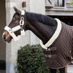 Alfombras de Equitación de Último Diseño, Cómodas, con el Mejor Estilo Nuevo, Alfombras de Invierno 2025, Alfombras de Caballo con Logotipo Personalizado - Product Image 2