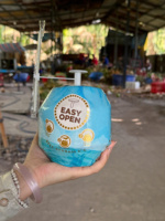 Coco Fresco Premium Joven, Fruta Dulce y Tierna, Coco Entero con Cáscara, Exportación a Granel para Suministro Mayorista