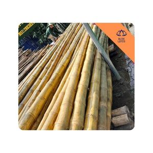 [DISPONIBLE] BLUE LOTUS Varillas de Soporte para Plantas de Bambú Modernas y Resistentes, de Alta Resistencia, para Viveros, Árboles, Enredaderas, Marco de Soporte Son La - Product Image 1