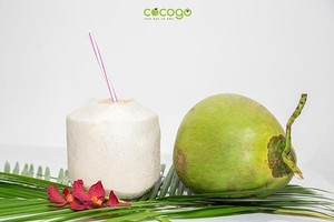 มะพร้าวน้ำหอมสดพรีเมียมจากเวียดนาม - น้ำหวานธรรมชาติ - ราคาขายส่งที่ดีที่สุด // คุณทอม - Product Image 3