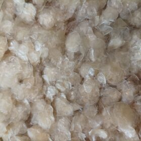 เกล็ดปลาที่ทำความสะอาดและอบแห้งแล้ว ปริมาณมาก จัดส่งโดยตรงจากโรงงาน - Product Image 5