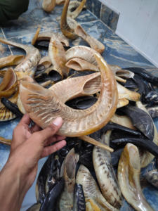 Corne de bélier Shofar écologique polie style animal corne d'Israël de haute qualité de l'Inde fournisseur en gros en vrac - Product Image 5