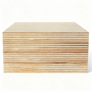 Contreplaqué peuplier de 6 à 28 mm d'épaisseur, feuille 4x8, placage bouleau E0, écologique, pour usage intérieur - Product Image 1