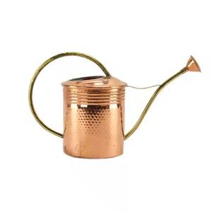 Regadera Metálica Tradicional, Duradera, para Plantas de Jardín, Interior y Exterior - Product Image 2