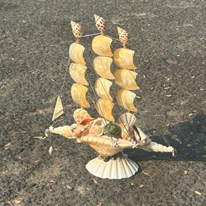 Natural Seashell Craft Supply for Creative Art Projects - Product Image 4