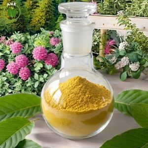 Top Trending AuE Thai Herbal MIT 80% Leaf Powder Solvent <b>Extracted</b> Pharmaceutical Grade Vacuum Packed Khon Kaen Planting - Product Image 5