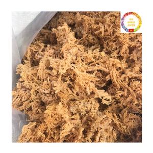 Sea Moss Bulk | Organic Golden Seaweed | Dried Wildcrafted | Supplier Vietnam Wholesale - Product Image 1