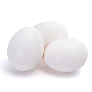 Huevos de Gallina Blancos Frescos de Granja de Primera Calidad, Proveedor al por Mayor, Huevos de Grado de Exportación para Restaurantes, Comercio Minorista y Servicios de Alimentos - Product Image 4