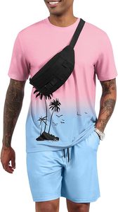 Ensemble de survêtement pour homme à manches courtes, 2 pièces, t-shirt à imprimé tropical, t-shirt hawaïen, short uni, tenue décontractée d'été - Product Image 6