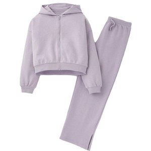 Ensemble de survêtement gris clair à capuche pour femme, manches longues, couleur unie, décontracté, respirant, pantalon en coton avec poches latérales et fermeture éclair - Product Image 2