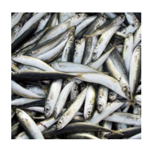 LA MEJOR OPCIÓN PARA USTED ES OBTENER PESCADO CONGELADO DE BUENA CALIDAD A PRECIOS RAZONABLES DE VIETNAM/Sra. Thi - Product Image 2