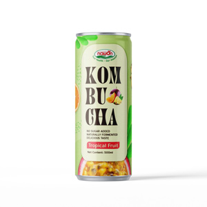 Kombucha aux fruits tropicaux de qualité supérieure, bouteille en verre, vente en gros OEM, thé fermenté pétillant, marque privée, boisson haut de gamme, usine, 500 ml - Product Image 1