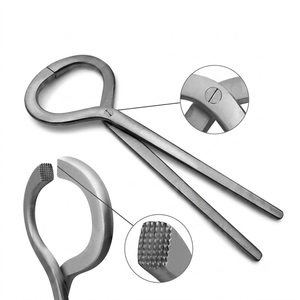 เครื่องมือตรวจวัดกีบสัตว์ สแตนเลสสตีล ขนาด 13 นิ้ว สำหรับการผ่าตัดสัตว์ ทนทาน ฆ่าเชื้อได้ - Product Image 1
