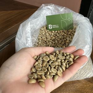 Café Vert Arabica du Vietnam, Spécialité Non Torréfiée, Processus Miel, Vente en Gros, OEM, Marque Privée, Exportation, Café Premium - Product Image 2