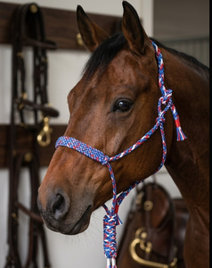 Premium Braided Rope Horse Halter Blue Red White Durable <b>PP</b> Comfortable Rub International Equestrian Training Halter Wholesale - Product Image 2