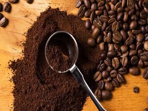 กากกาแฟธรรมชาติ  ขยะกาแฟสำหรับทำปุ๋ยอินทรีย์ ผลิตภัณฑ์ดูแลผิว อาหารสัตว์ ผลิตภัณฑ์รีไซเคิล - Product Image 2