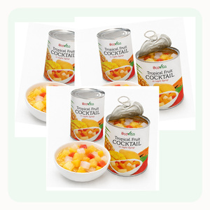 Low Price Vietnam Manufacturer Supply Best Selling Tasty Canned Mixed Tropical Fruits Packed in A10 Can - Product Image 1