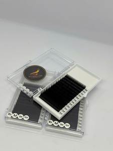 Premade <b>Volume</b> Fans Eyelash Extensions 3D 4D 5D 6D 12D 20D Synthetic C D Curl Short Long <b>Lash</b> Trays Custom Private Label - Product Image 4