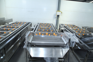 Machine à laver à bulles multifonctionnelle pour les légumes, les fruits, les fruits de mer, les filets de poisson et les morceaux de viande dans les usines - Product Image 5