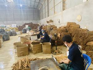 Tube de cannelle / bâton de cannelle du Vietnam (certificat CE / UE) |   Melina - Product Image 5