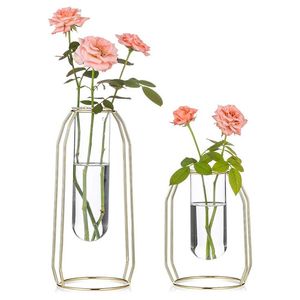 Juego de 2 terrarios personalizados de metal y vidrio, macetero moderno de vidrio para plantas de interior, suculentas, plantas aéreas y terrarios DIY - Product Image 3