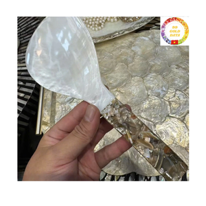 Seashell Spoon | Mother of Pearl | Handmade Craft | 8-12cm | Bulk Supplier Vietnam - Product Image 2