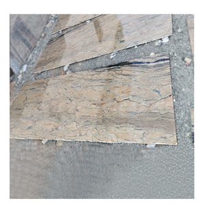 Parada Gold <b>Granite</b> Polished Modern Big Slab <b>Granite</b> Countertops for Kitchen Bathroom & Outdoor-Manufacturer & Exporter - Product Image 1