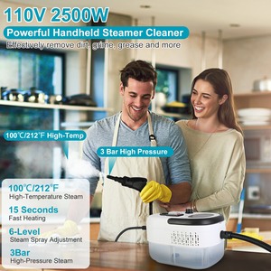 2500W pulitore a vapore portatile multifunzione ad alta temperatura macchina per la pulizia a vapore per auto con dettagli sul pavimento del divano - Product Image 4
