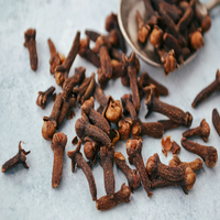 Natural AD Raw Dried Whole Cloves Spice Seasonings Condiments Wholesale Bulk Supply Premium From UK