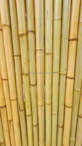 Pôles en bambou de haute qualité – Exportation directe d'usine du Vietnam, tailles personnalisées disponibles - Product Image 4